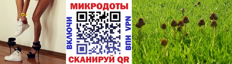 хочу   Сасово  Галлюциногенные грибы ЛСД 